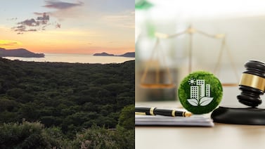 ¿Qué pasará con Papagayo? Los escenarios del fallo que define inversiones y ambiente