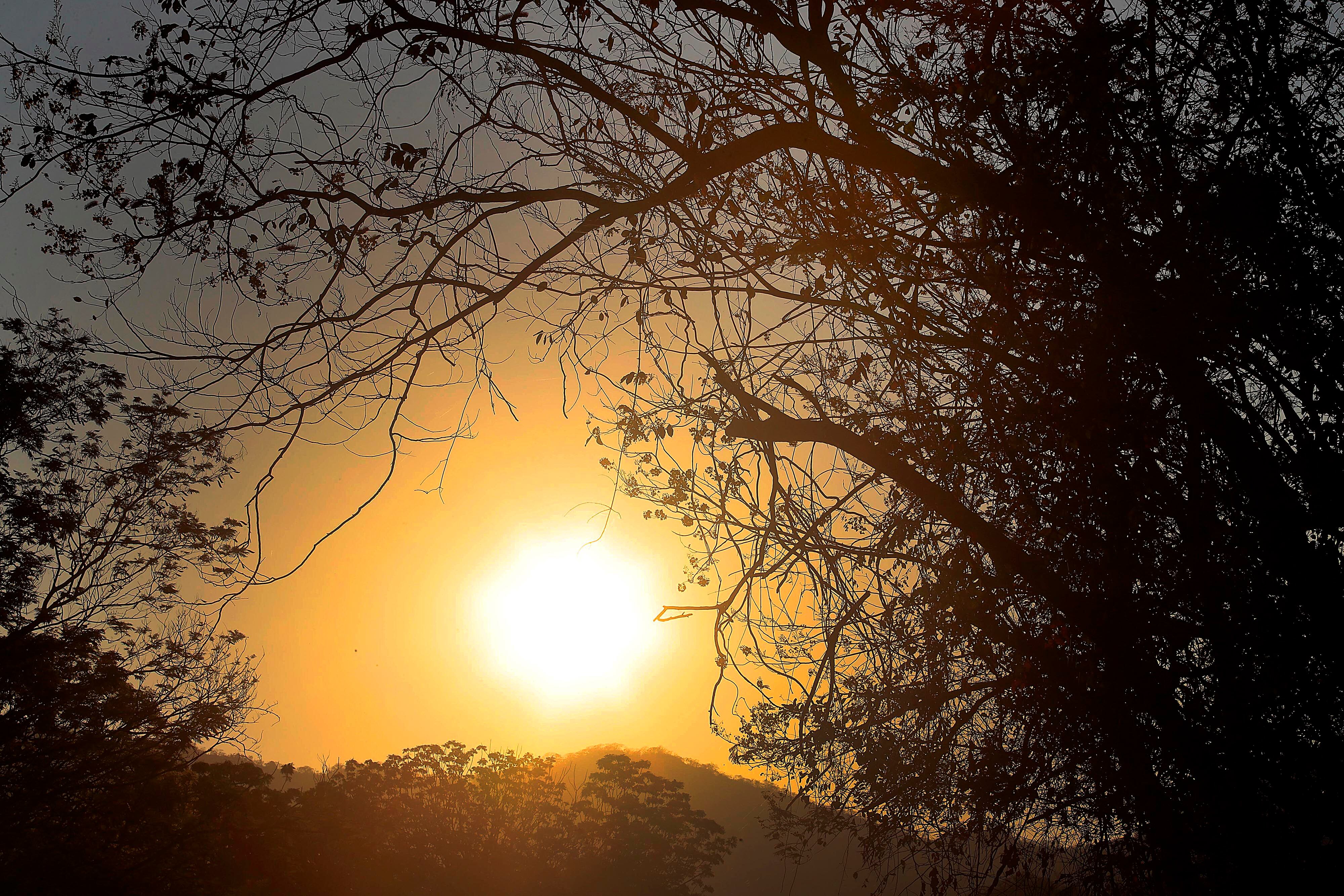 10/03/2024     Playa Conchal, Guanacaste. Arena, playa y sol... y los turistas que llegan a disfrutar de las buenas condiciones del clima, con cielo azul despejado, eso sí con mucho calor. Foto: Rafael Pacheco Granados