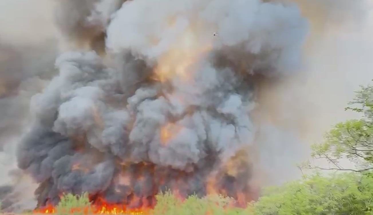 Incendio en Parque Nacional Palo Verde