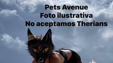 Veterinaria en Heredia advierte que ‘no atiende therians’: estos son los motivos que dio la clínica