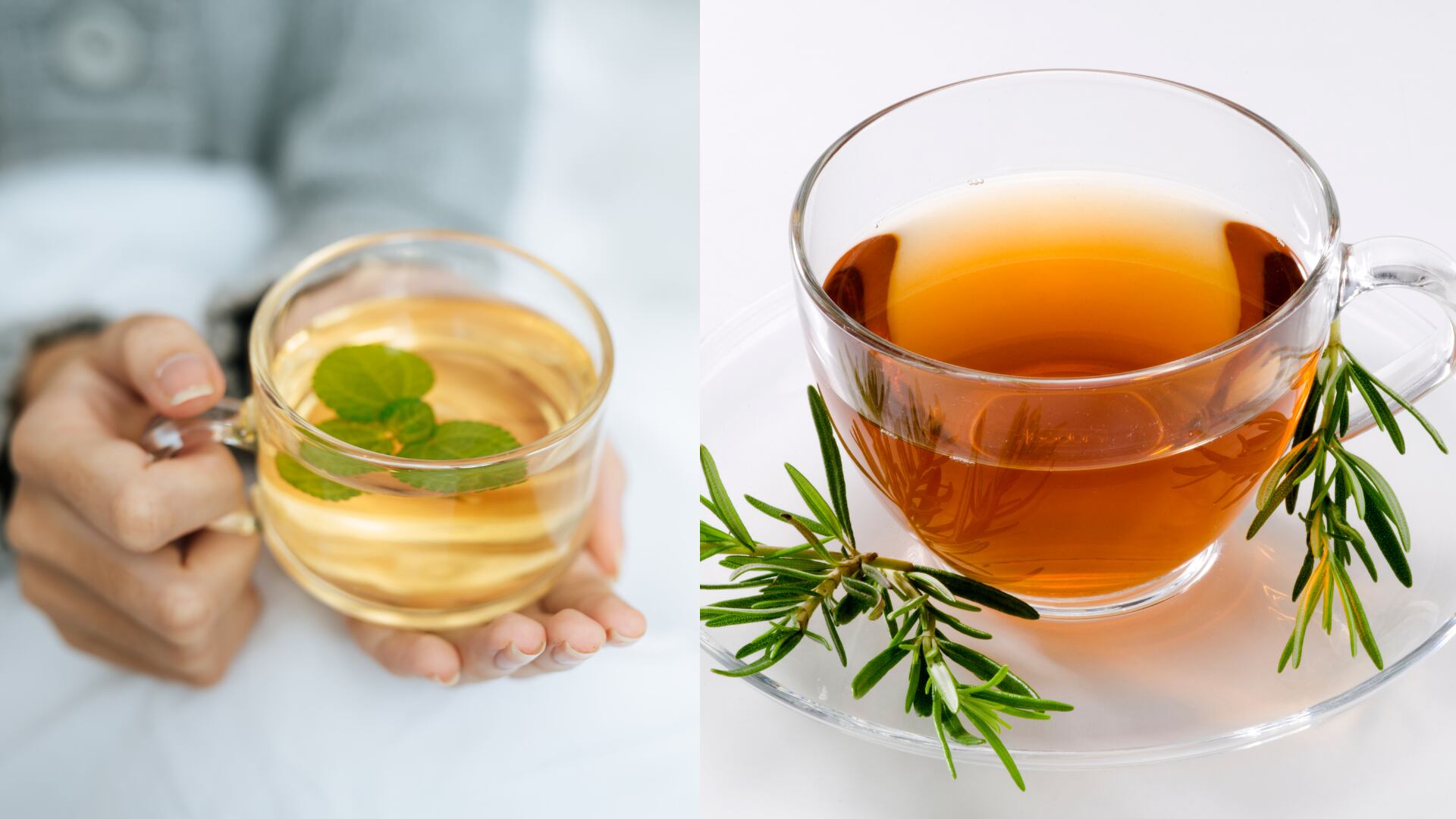 Aprenda sobre las hierbas recomendadas para mejorar la calidad del sueño y consejos efectivos de higiene del sueño.