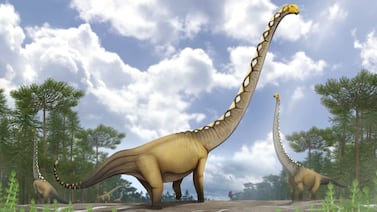 Hallan en Tailandia un nuevo dinosaurio gigante que cambia lo que se sabía sobre los saurópodos asiáticos