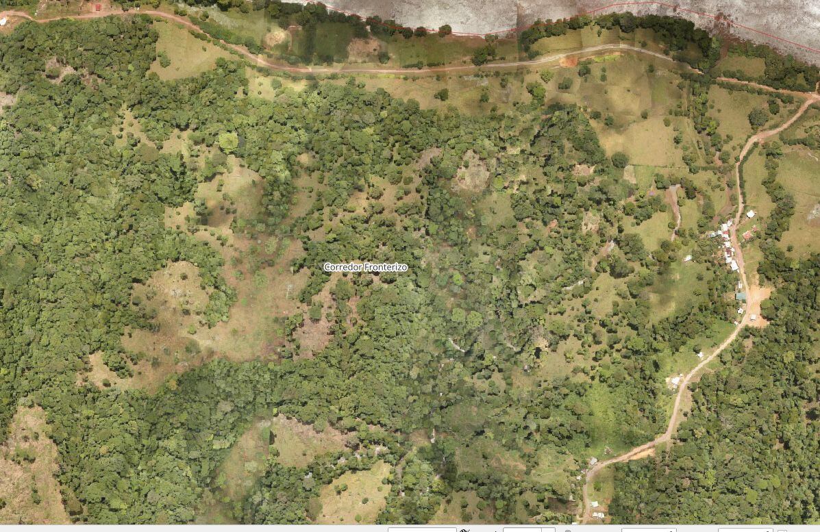 Parte del Refugio Nacional de Vida Silvestre Corredor Fronterizo, en la frontera norte, Cutris de San Carlos.