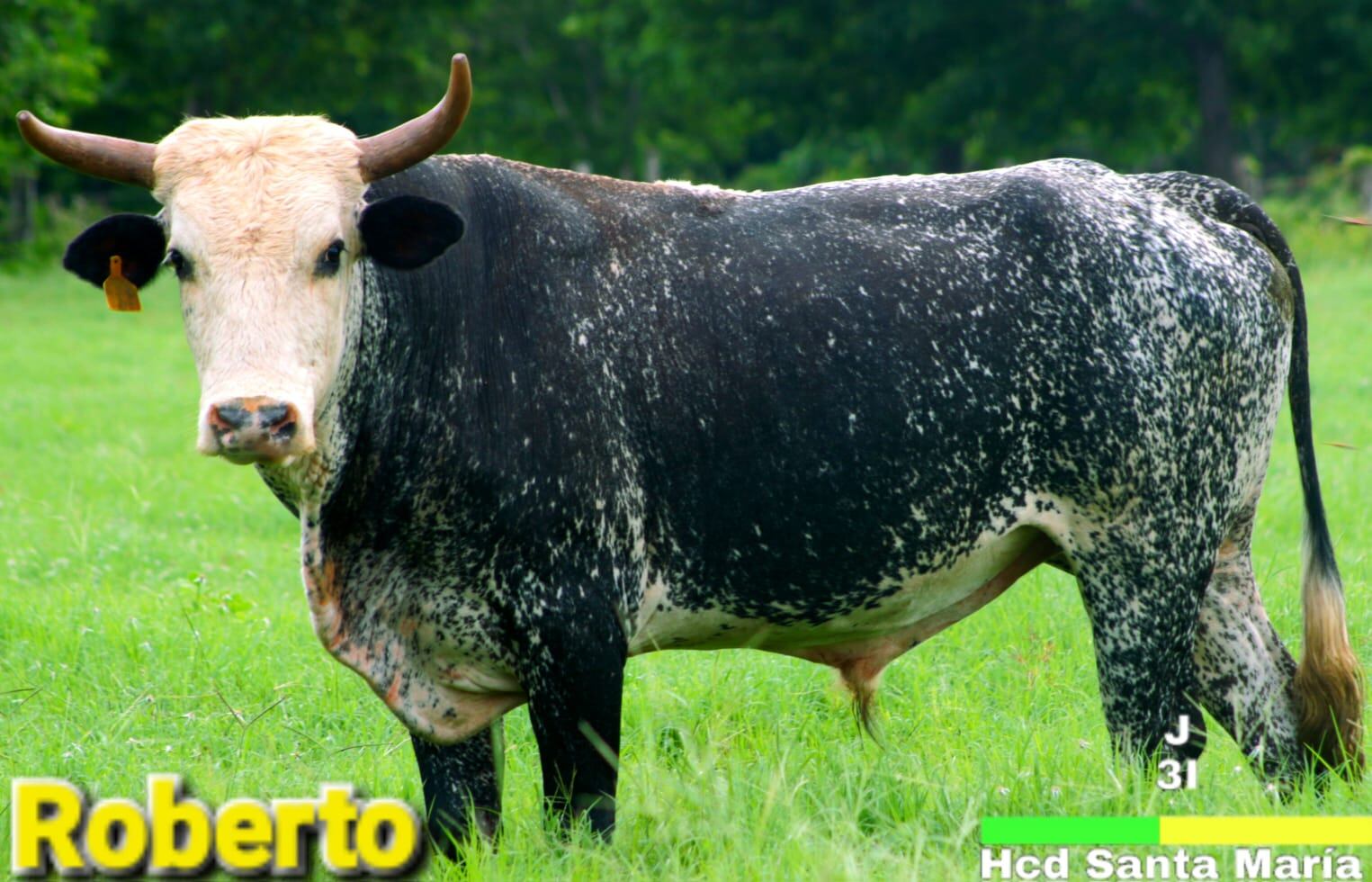 El Roberto Hacienda Santa María