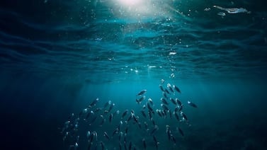 Minería en aguas profundas: una nueva polémica en la batalla por minerales clave