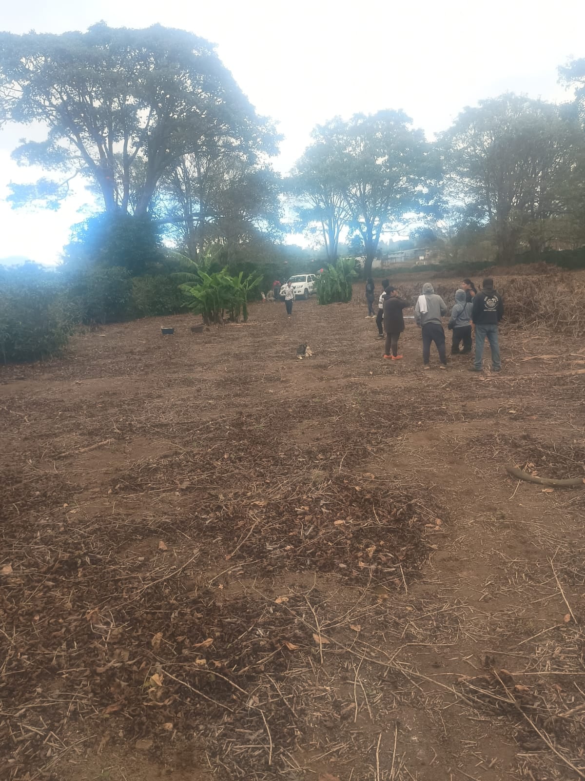 El cuerpo de un hombre fue ubicado en La Unión de Cartago, se investiga si corresponde al de un joven desaparecido desde el 30 de enero.