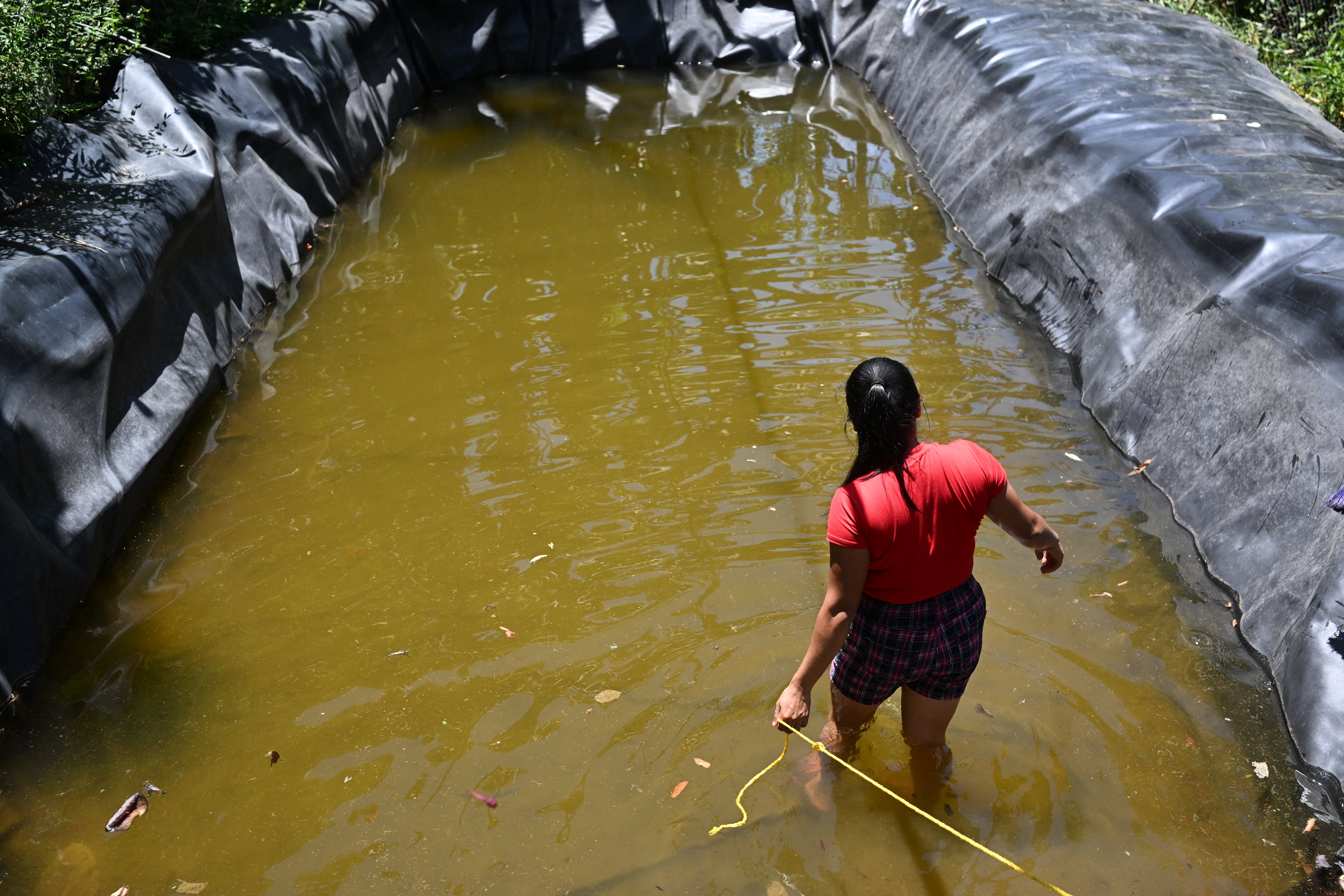 Sequía en Centroamérica por el fenónemo de El Niño