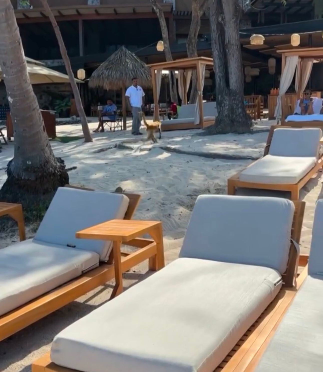 La exgimnasta estadounidense cuenta sobre sus vacaciones en Costa Rica. Foto: Captura de Instagram