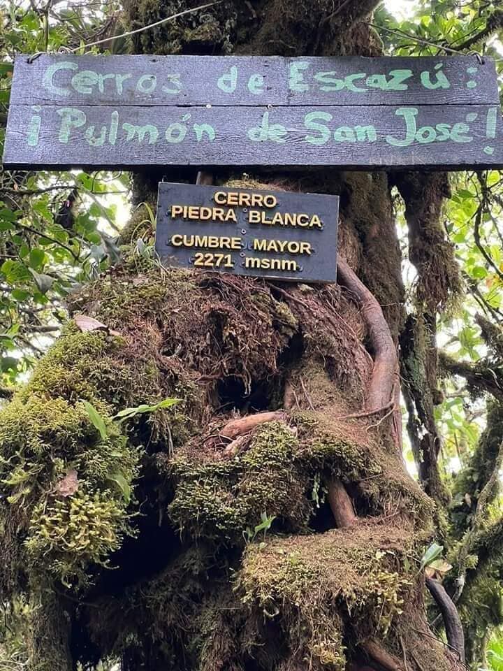 Una caminata intensa por Pico Blanco le espera este domingo 24 de setiembre.