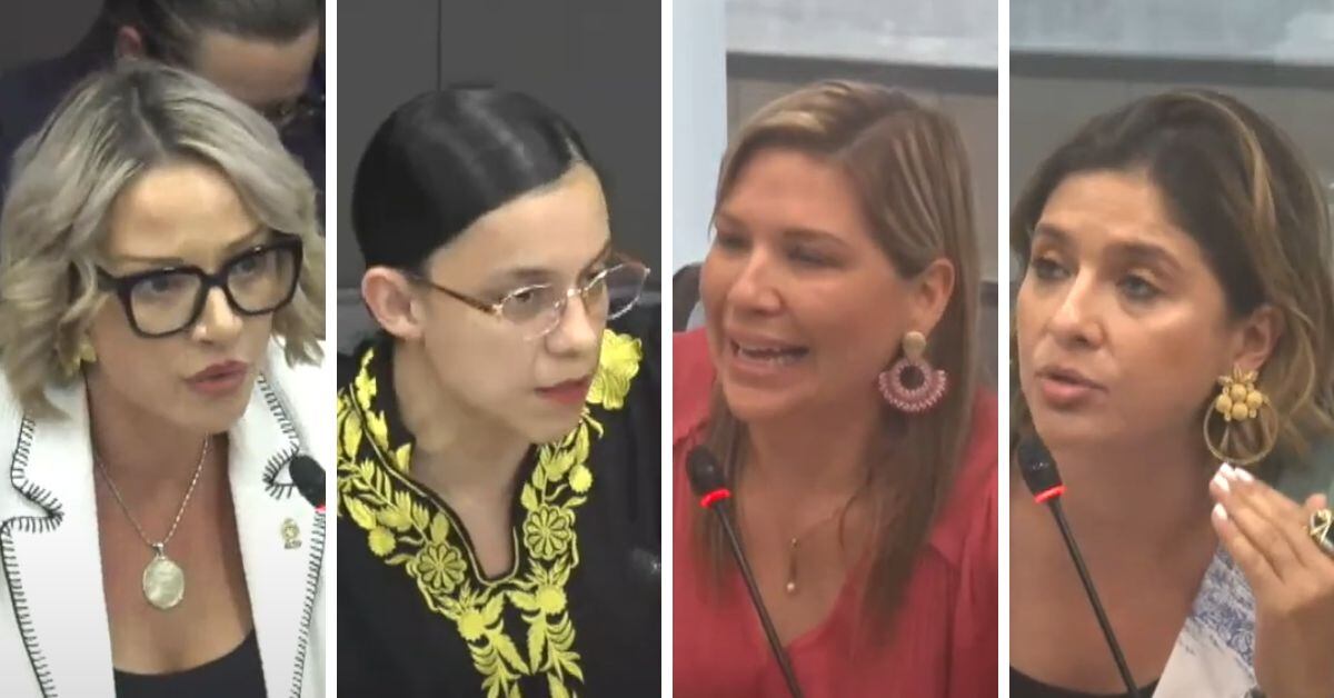 Diputadas Comisión de Económicos Inopia especialistas