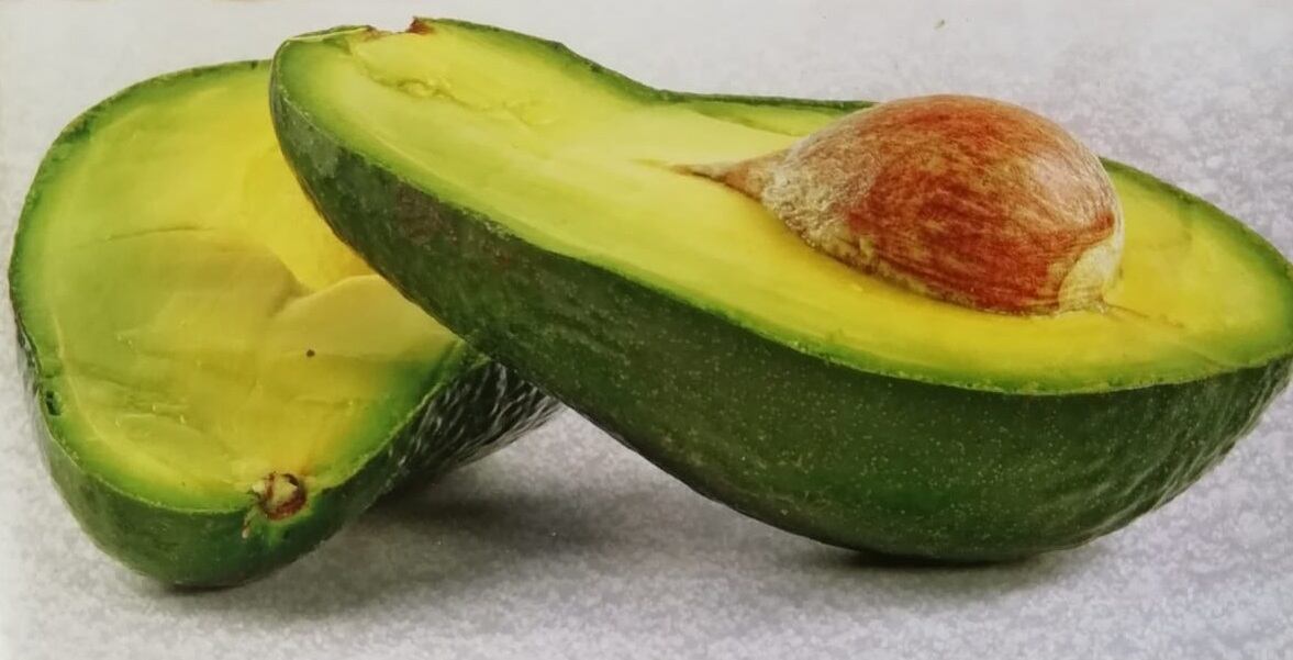 Aguacate criollo