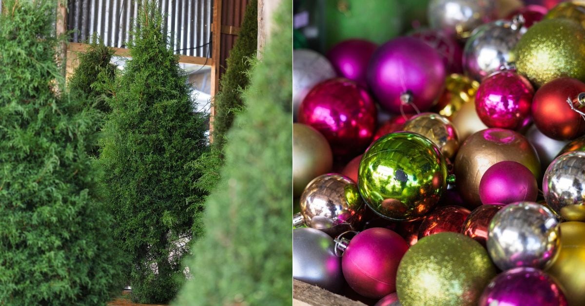 En la imagen un árbol y decoraciones navideñas