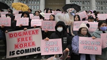 Parlamento de Corea del Sur prohíbe comercio de carne de perro