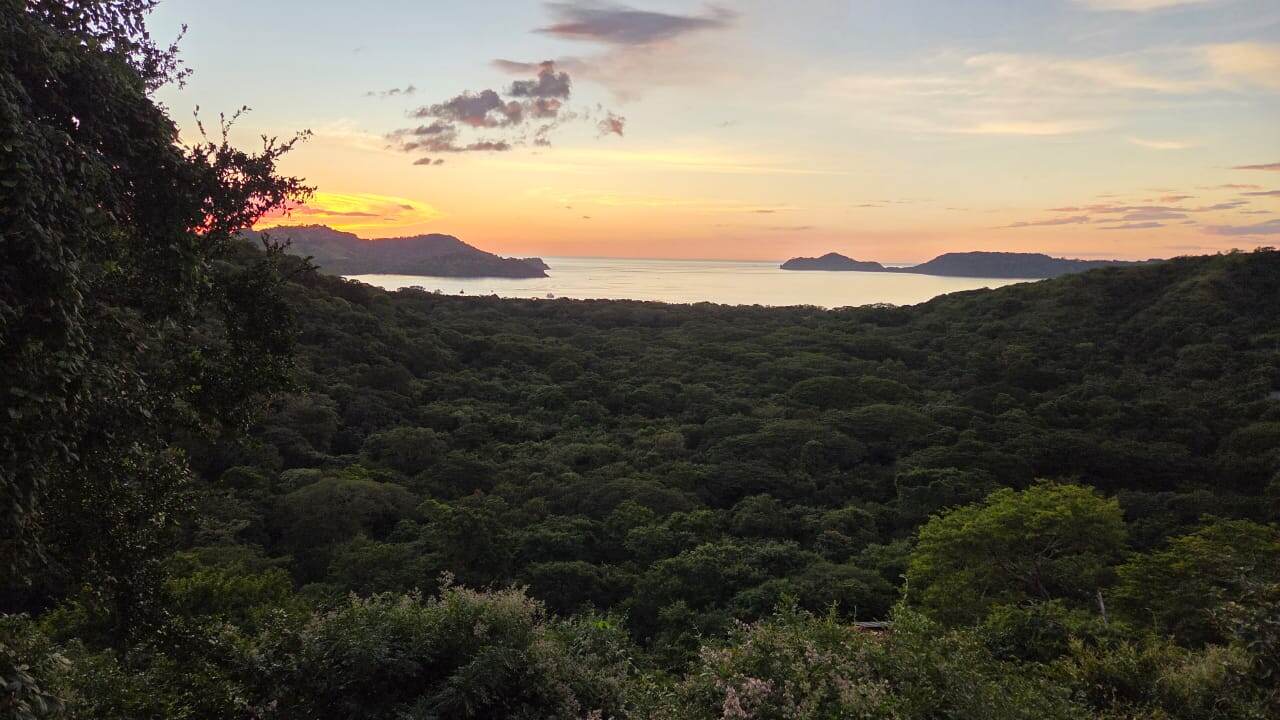 Vista aérea del dosel arbóreo en playa Panamá (Carrillo, Guanacaste) donde la empresa Enjoy Hotels & Resorts desarrollaría el proyecto turístico Bahía Papagayo. La iniciativa, valorada en $925 millones, contempla la tala de hasta 700 árboles en su primera etapa.