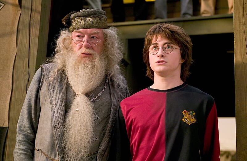 Michael Gambon le dio vida al querido Albus Dumbledore