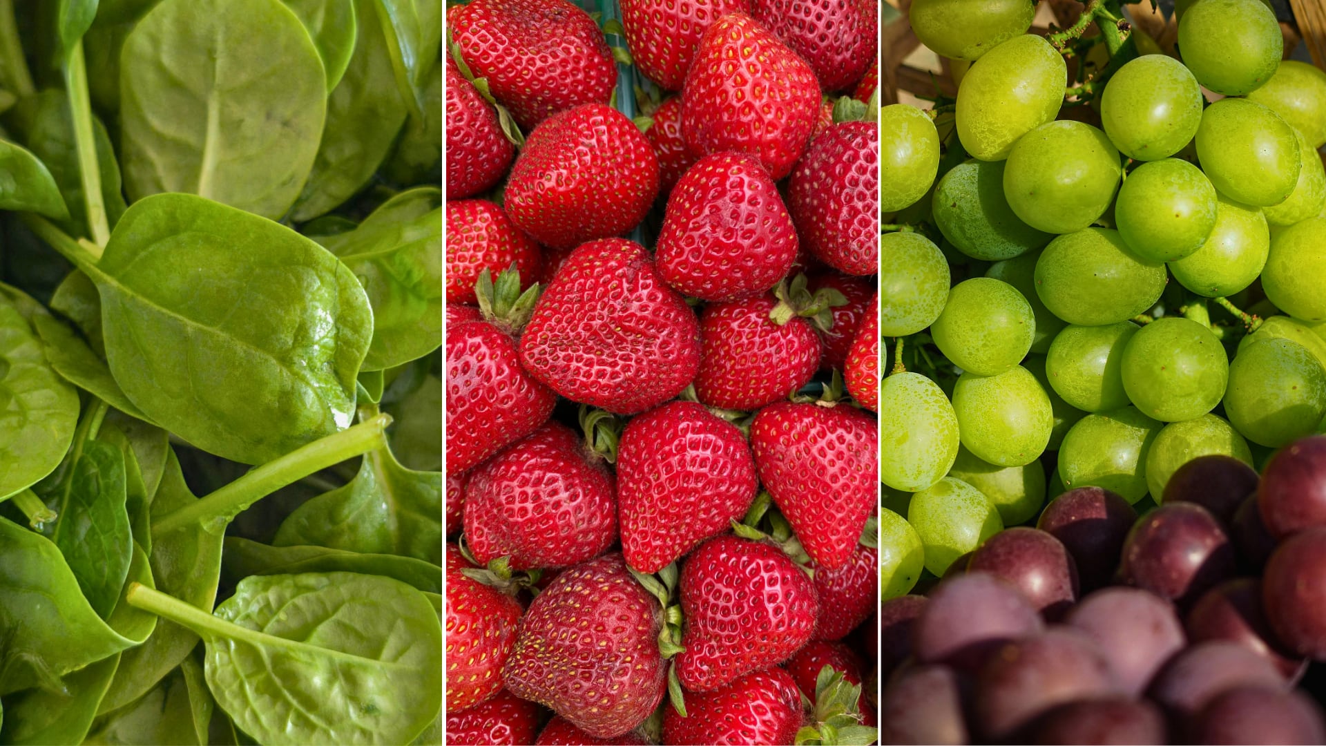 Estudio identifica alimentos con mayor carga de pesticidas. Espinaca encabeza lista que alerta sobre riesgos acumulativos en la salud.