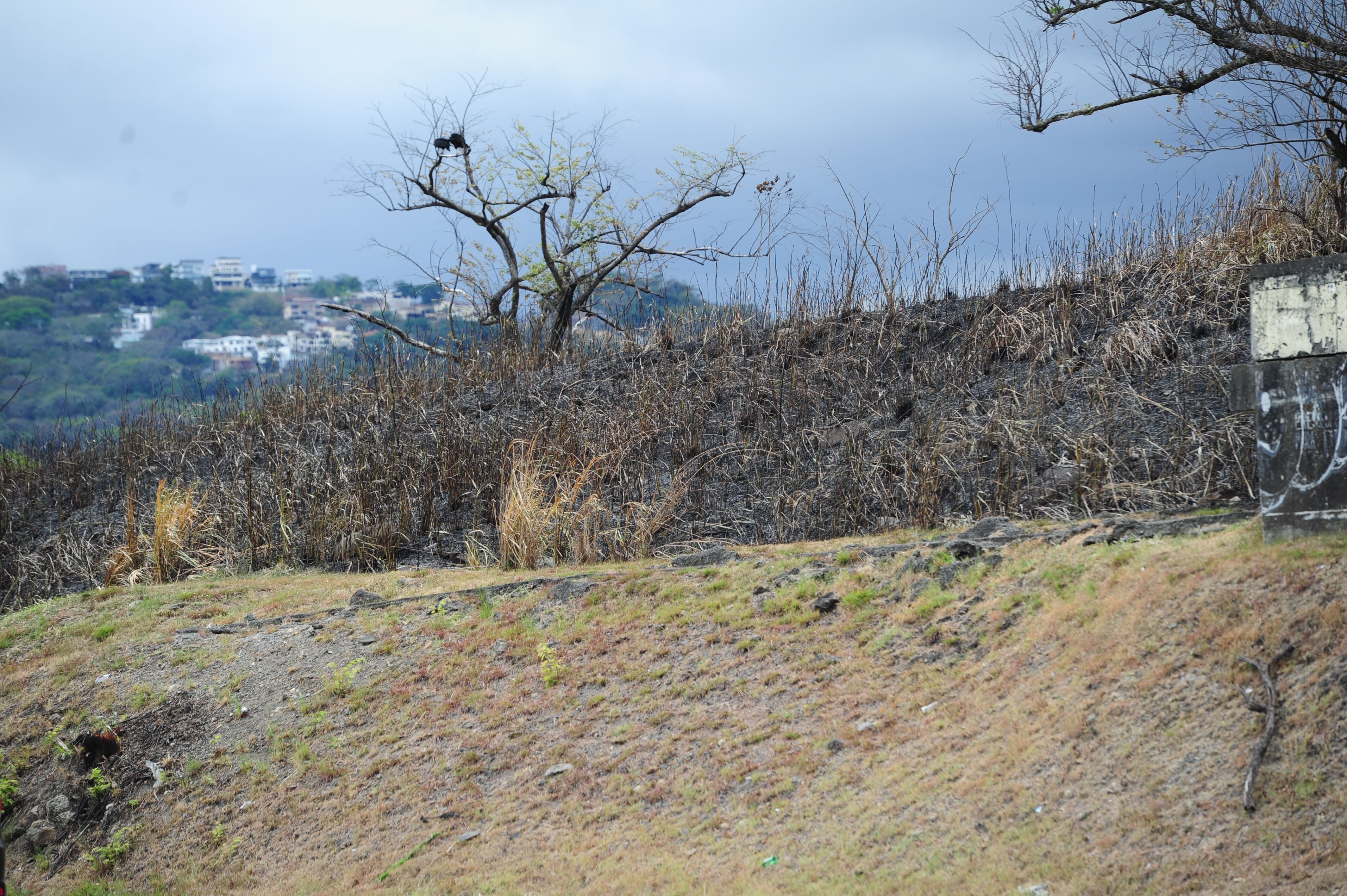 Incendio Parque natural urbano Lorne Ross