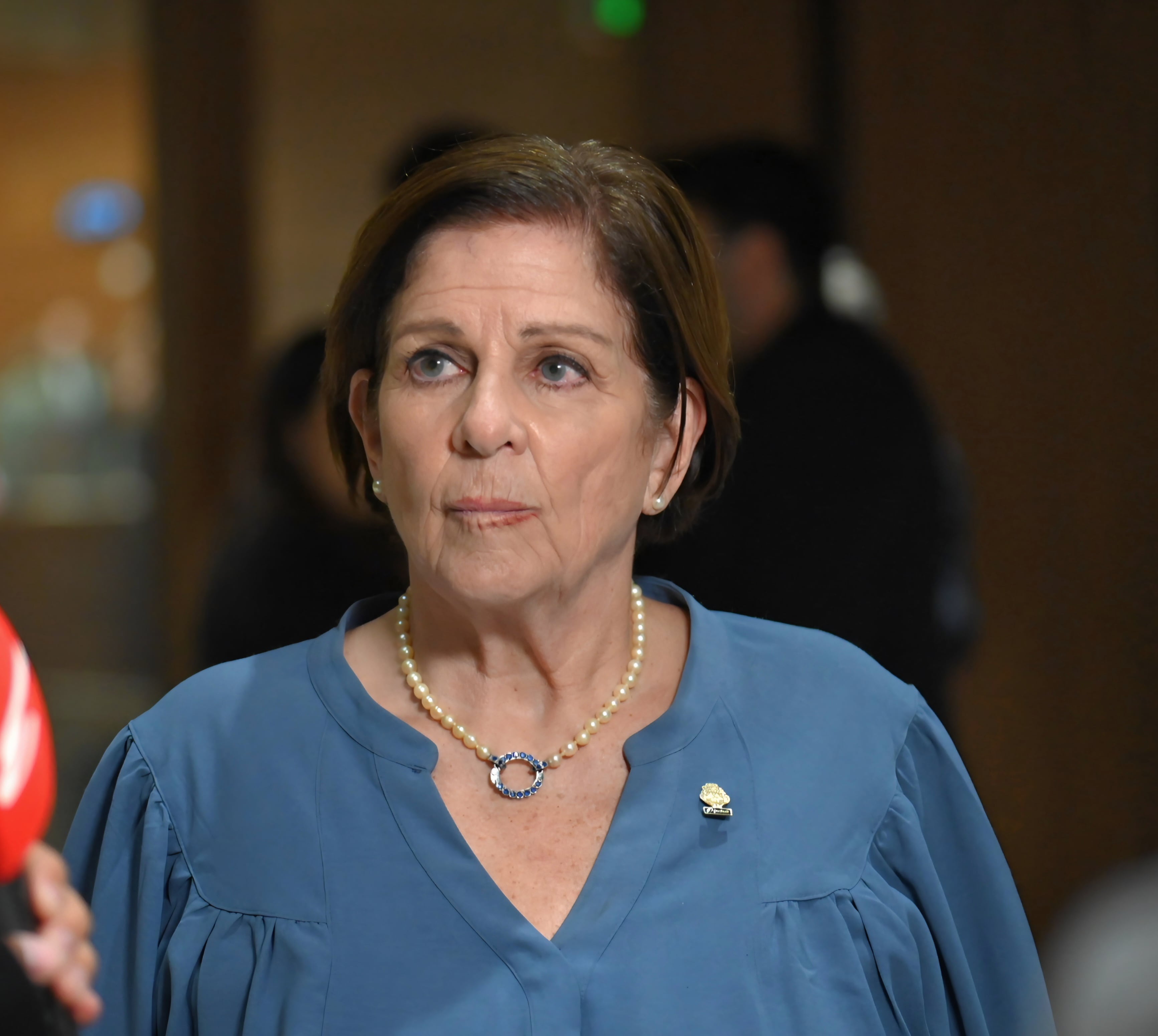 Pilar Cisneros, head of the Chavista faction, stated that they will not vote for the substitute magistrates of the Constitutional Chamber.