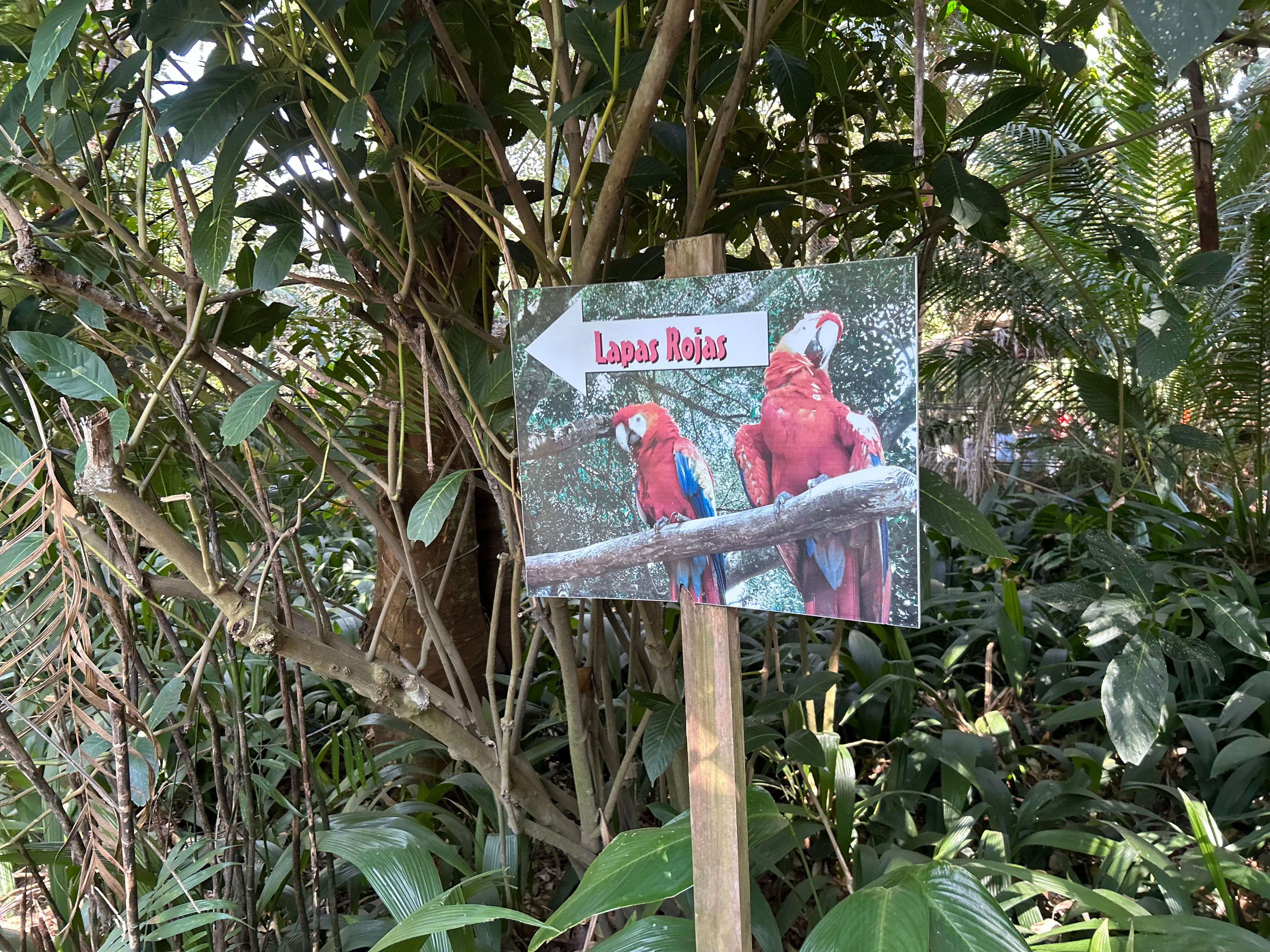 Simón Bolívar EXCLUSIVO VIVA