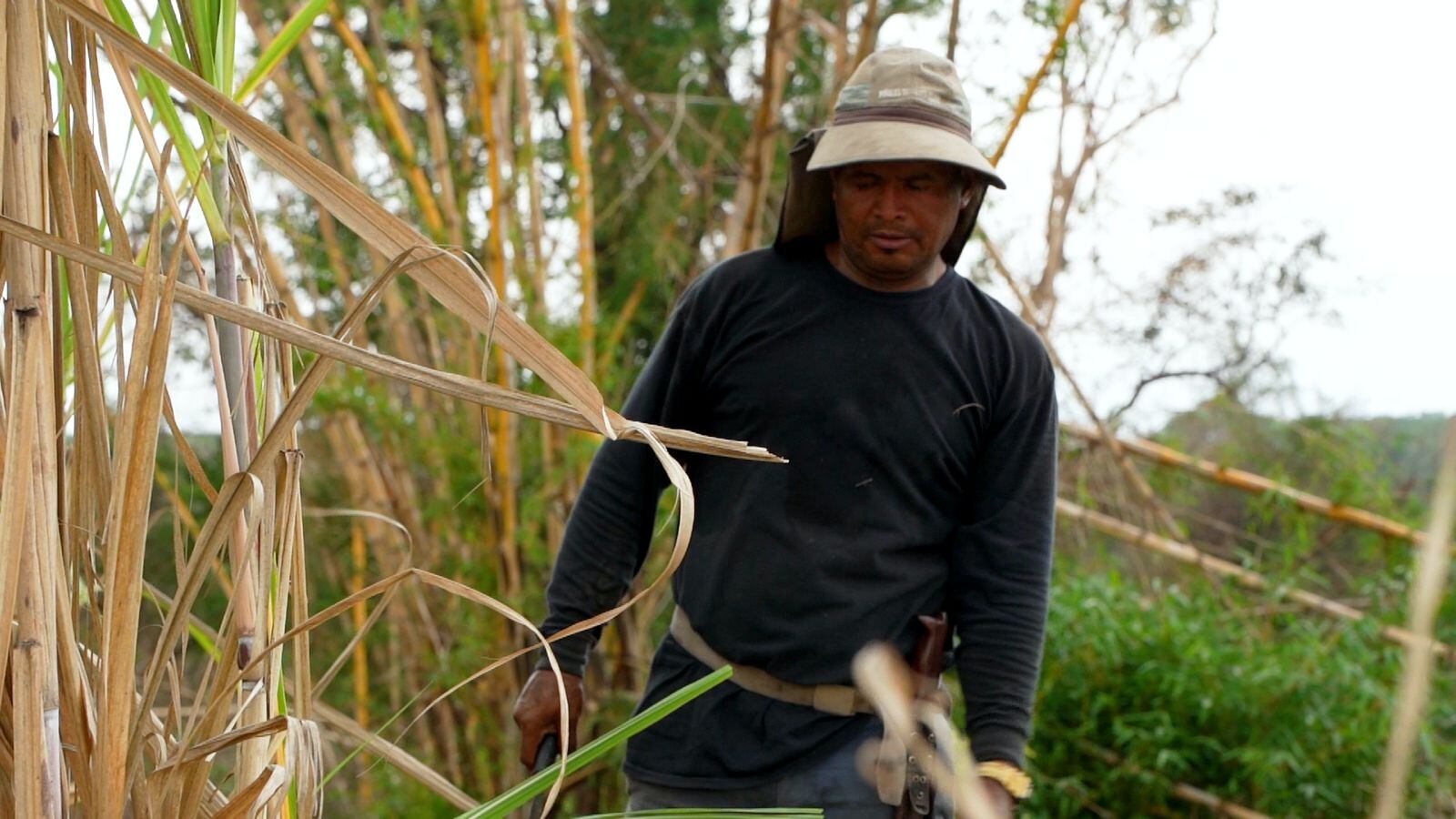 José Pablo Cruz Ulate, productor de caña