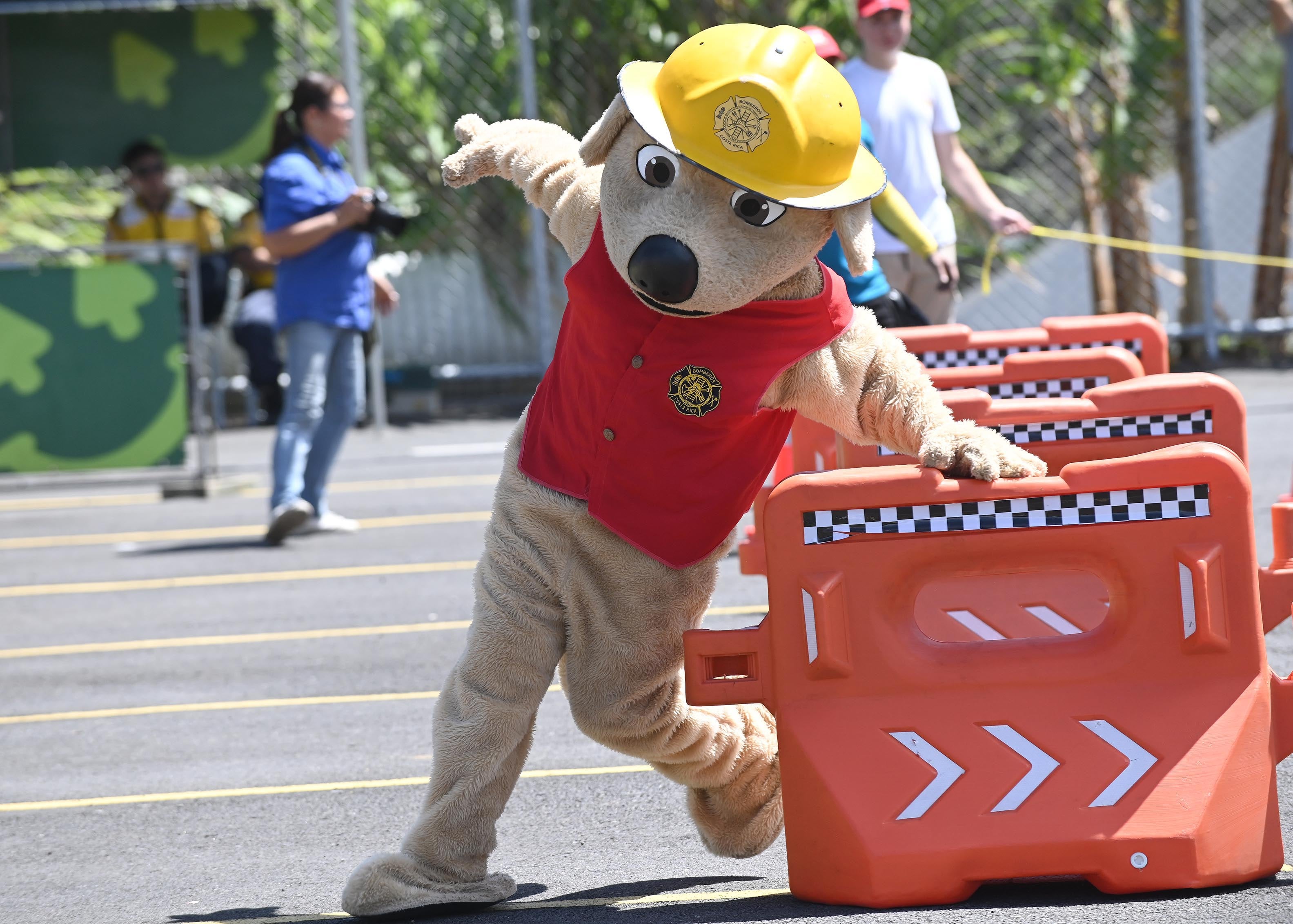 El perro Jack, mascota de los Bomberos de Costa Rica, en plena competencia en el Museo de los Niños.