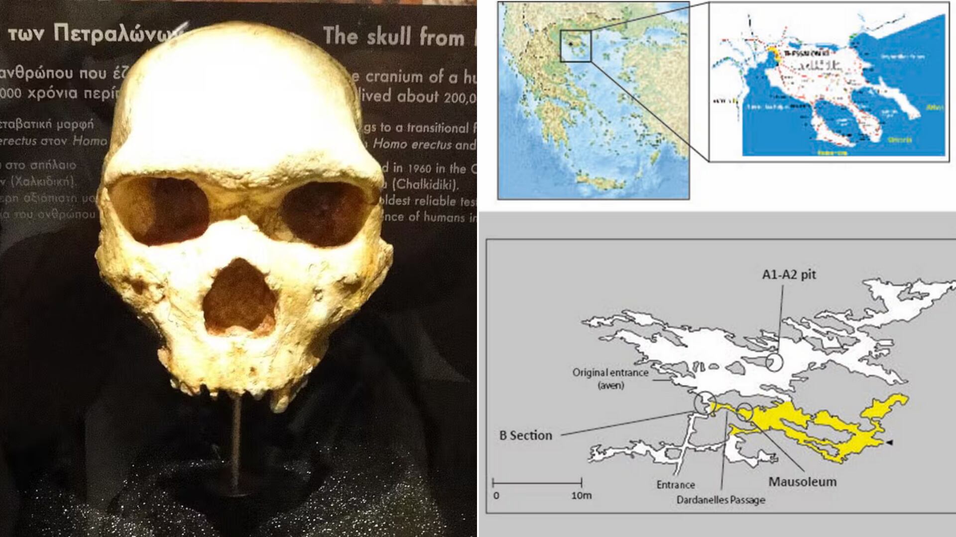 El fósil descubierto en la cueva de Petralona en Grecia tendría unos 300.000 años y pertenecería a un Homo heidelbergensis, según un nuevo estudio