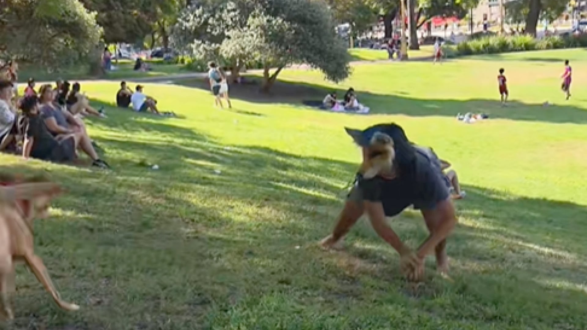 El fenómeno 'therian' ganó visibilidad en Uruguay y Argentina, aunque el concepto no es nuevo.