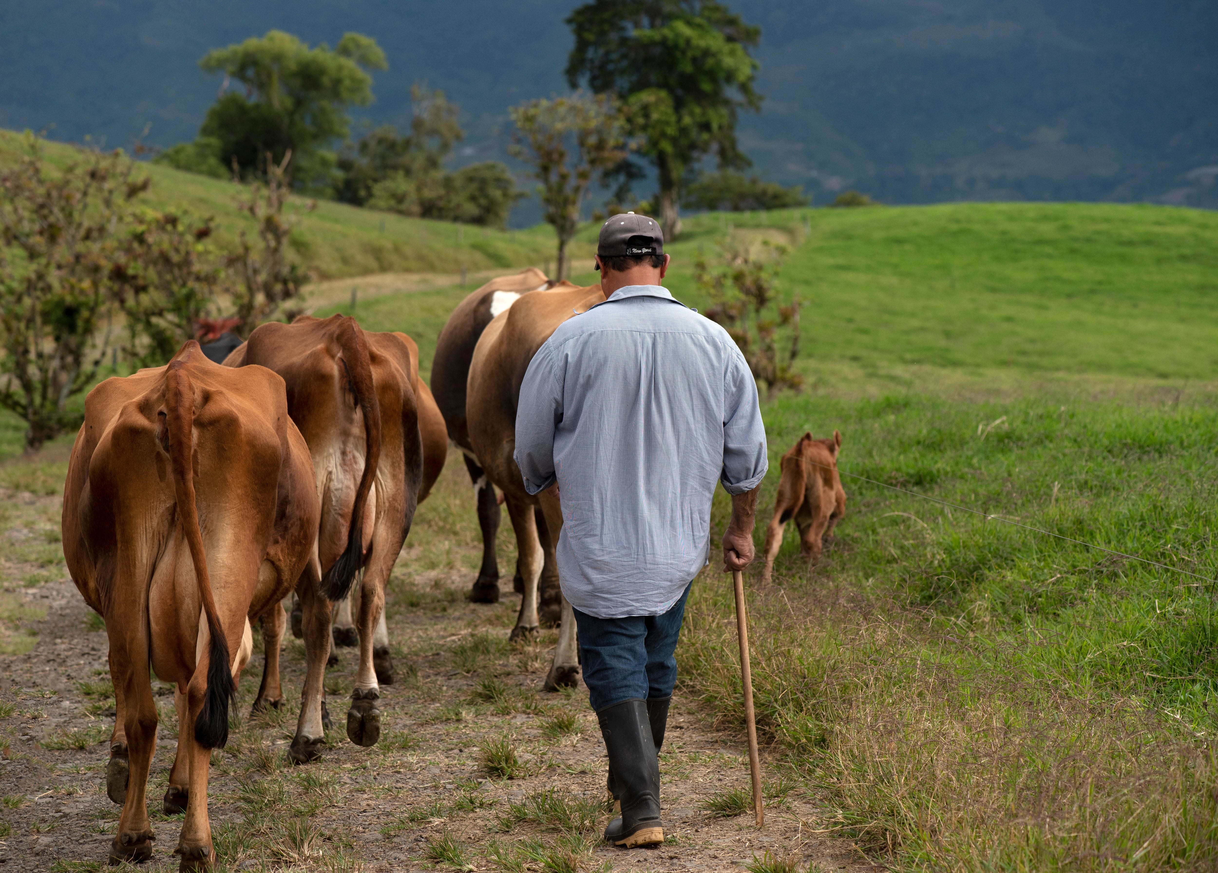 La Cooperativa inyecta a los territorios rurales de la región cerca de 1.000.000 de dólares diarios