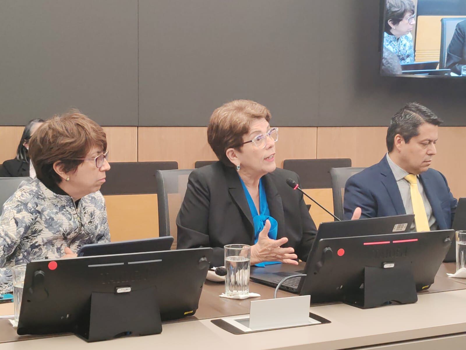 Marta Acosta sobre reforma legal