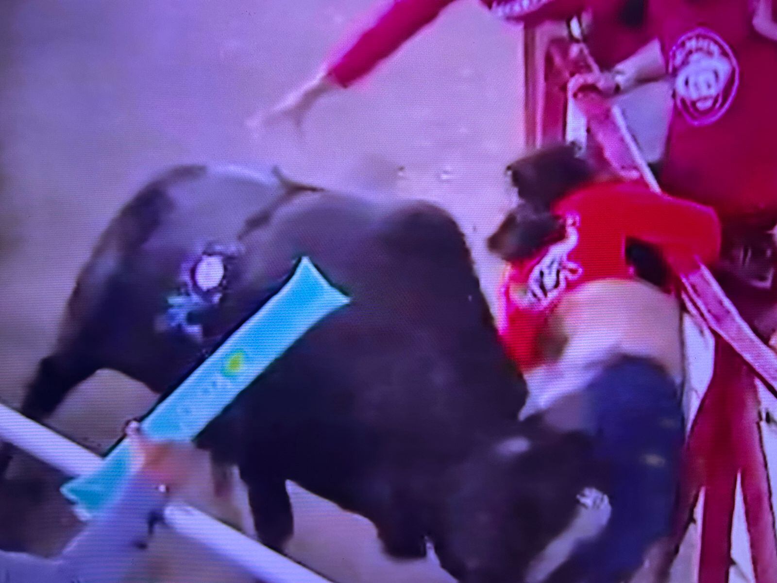 Mujer embestida en Toros de Pedregal