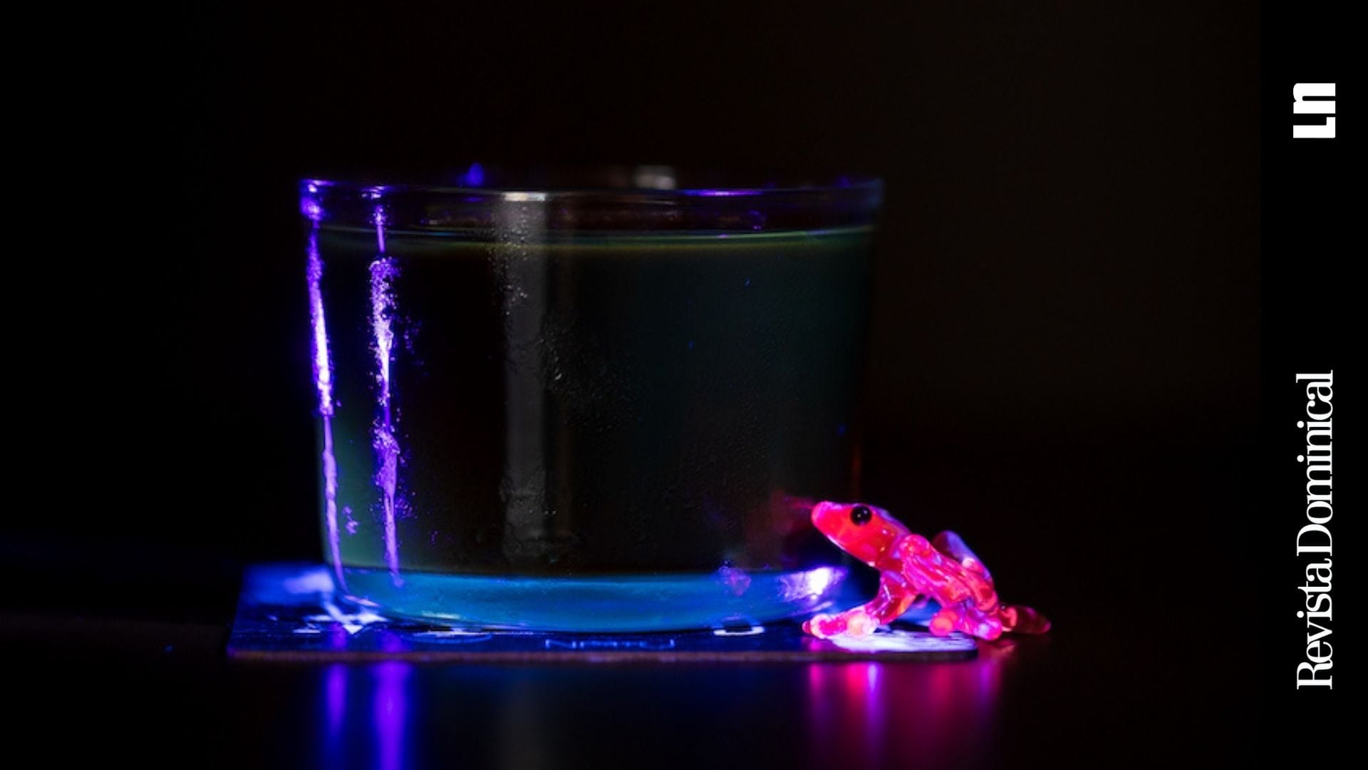 El restaurante Natu, en Monteverde, lleva la mixología a un nivel en el que sus cinco sentidos no serán suficientes para procesar todos los estímulos.