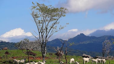 Costa Rica sentirá más calor este jueves: temperaturas alcanzarán los 35,3 °C y disminuirán las lluvias