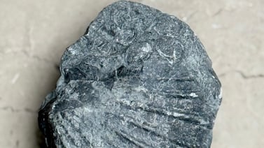 Patarrá: donde todavía se puede encontrar el fondo de un mar antiguo