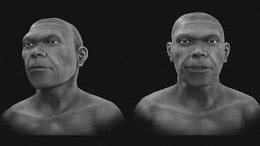 Científicos logran reconstruir el rostro de un Homo sapiens: vea las imágenes