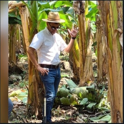 Un costarricense, gerente de Fyffes Banana Farm, fue asesinado en Belice.