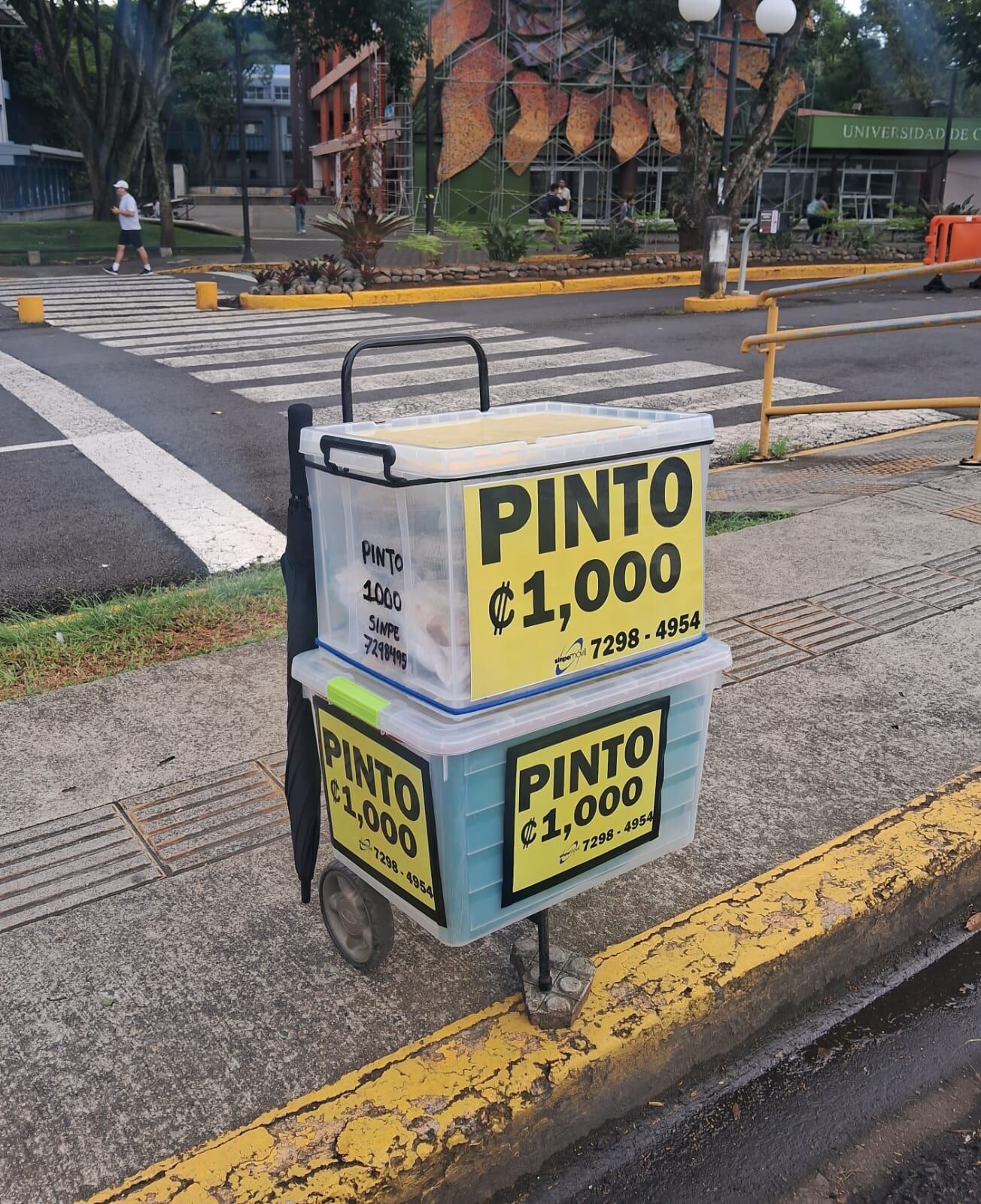 Emprendedor de pintos en la UCR