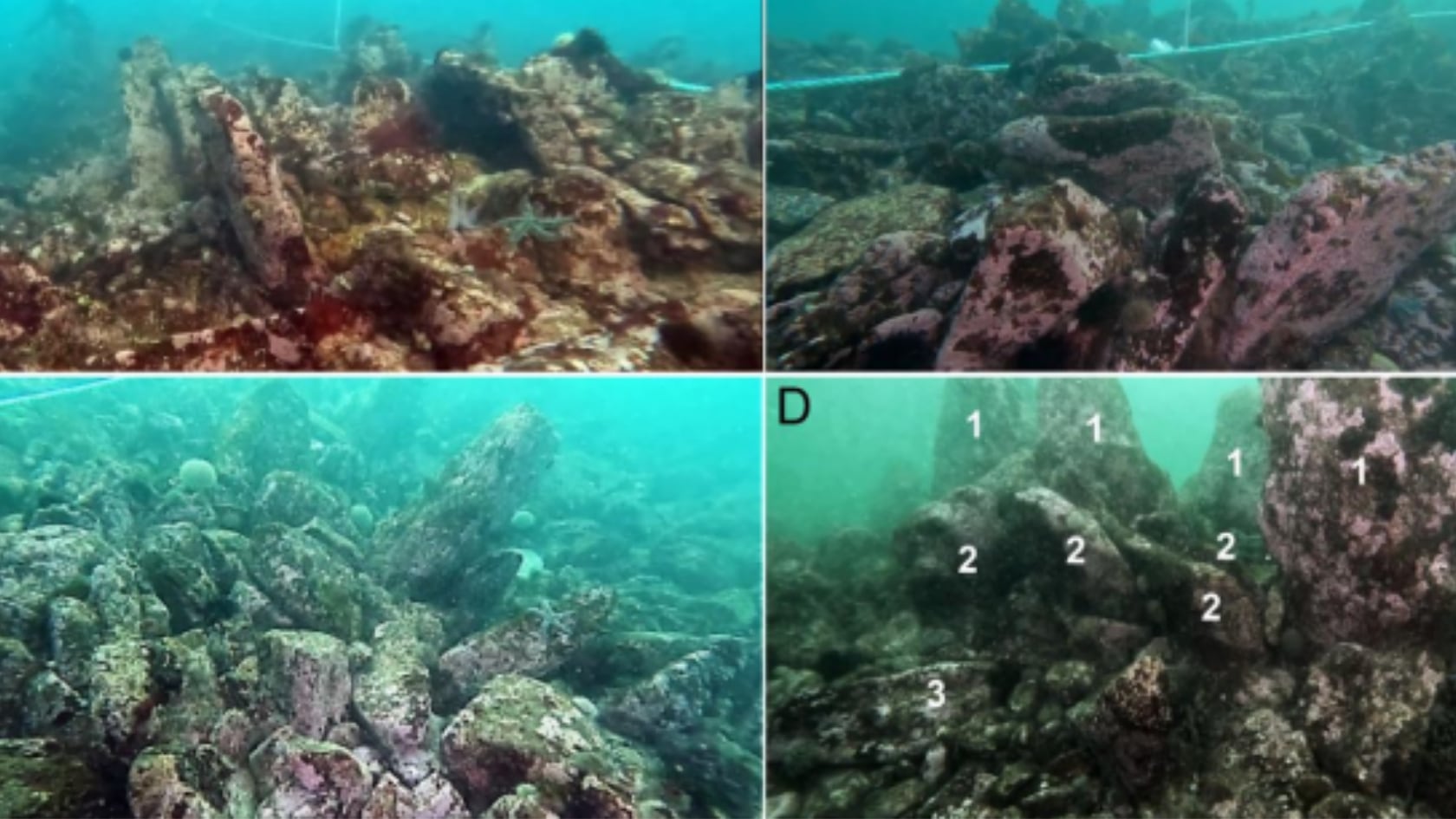 Una estructura de 120 metros, construida por comunidades neolíticas, fue hallada en la Bretaña francesa.