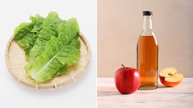 Para qué sirve poner vinagre de manzana a la lechuga