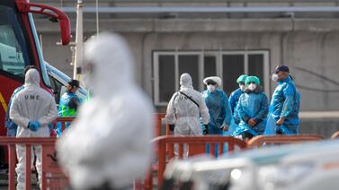 OMS emite recomendaciones para hacerle frente al hantavirus