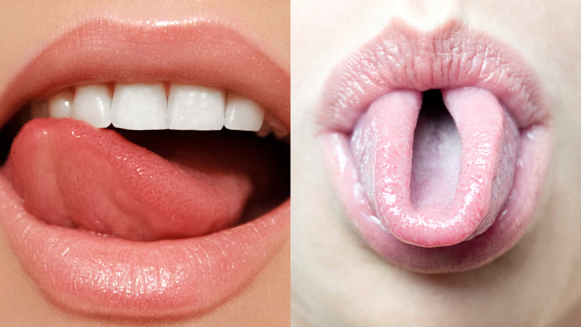 Investigaciones revelan que doblar la lengua depende de varios genes y de la anatomía oral, no de un único rasgo hereditario.