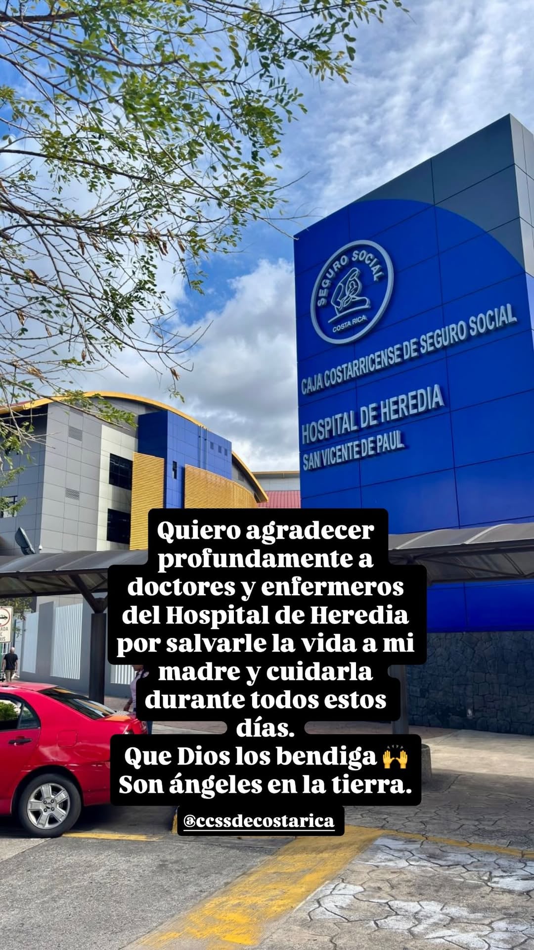 periodista deportivo