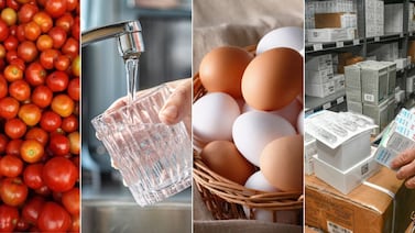 ¿Qué está más caro o más barato? Vea los 15 bienes y servicios que más variaron de precio a inicios del 2026