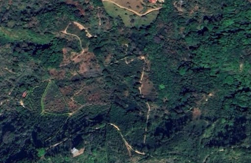 Camino de tierra rodeado de vegetación en Acosta, San José.