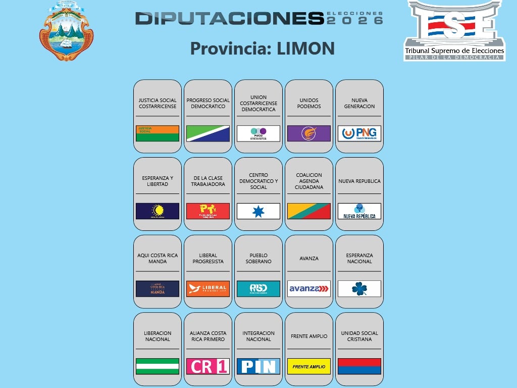 Las papeletas provinciales para elegir diputados.