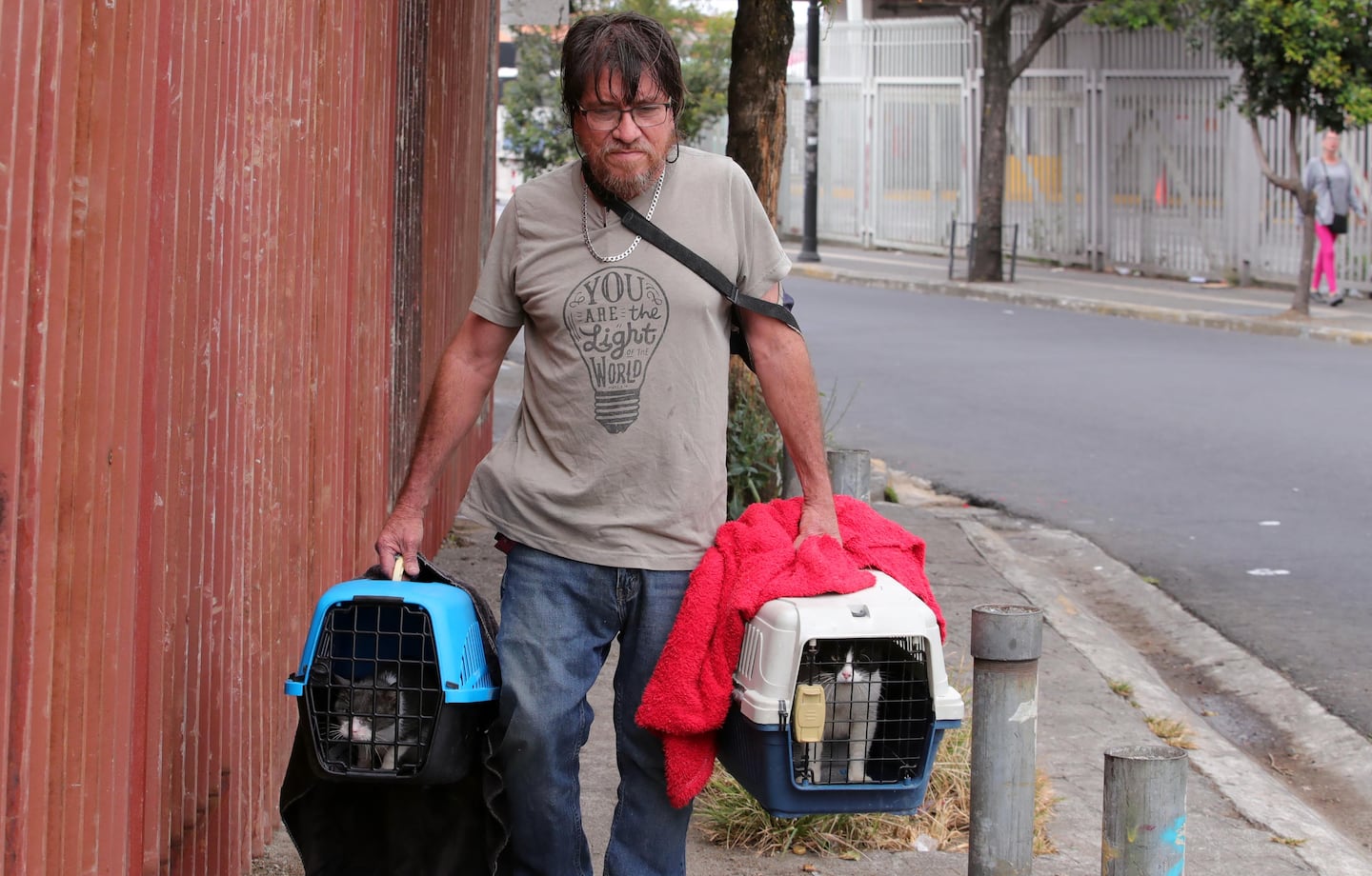 ‘Es una tristeza profunda’, Don Gato, el adulto mayor que alimenta y rescata animales vive situación crítica
