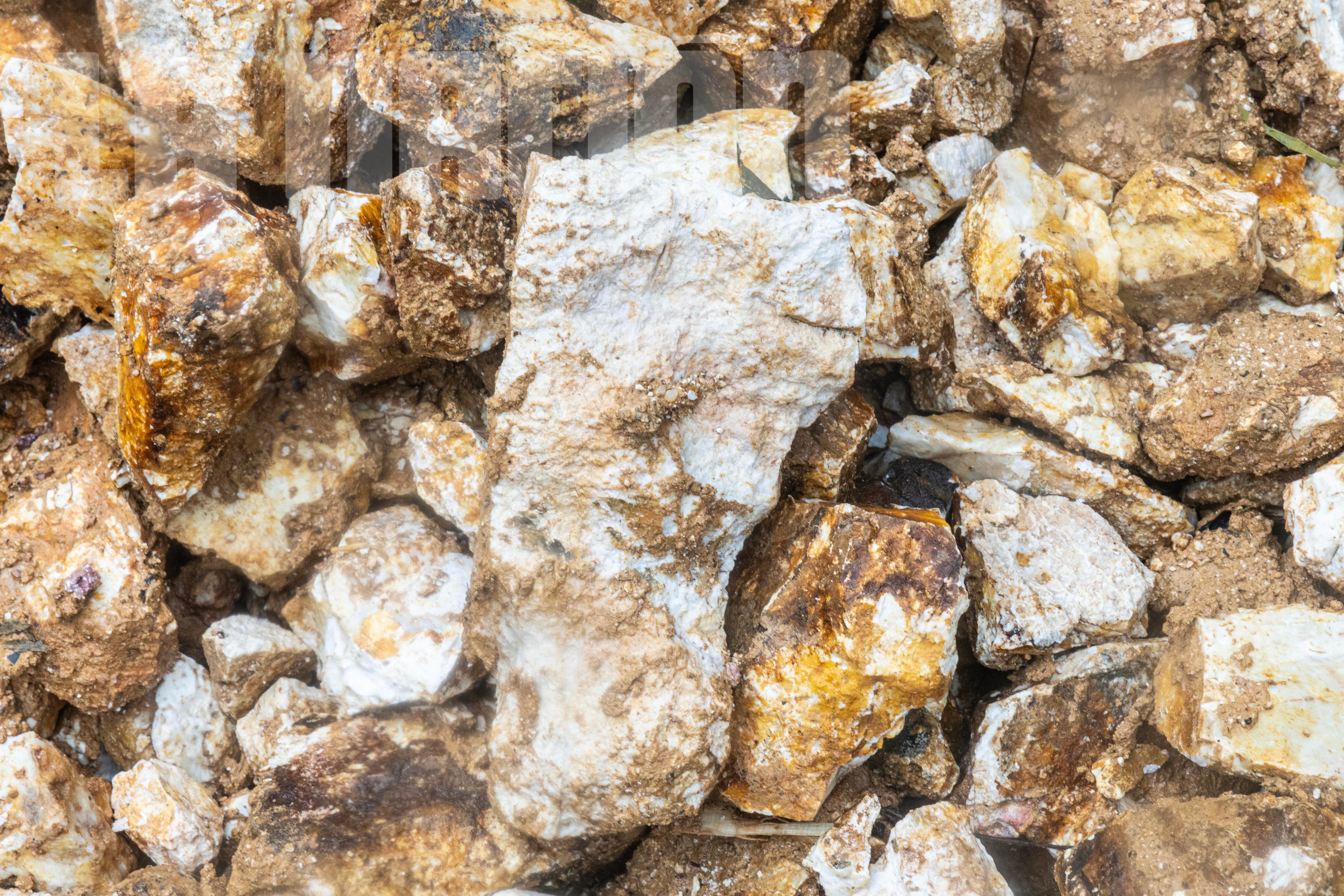 Mineria Ilegal Conchudita