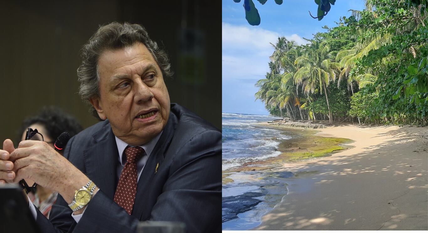 La Sala Constitucional declaró inconstitucional una directriz del ministro Franz Tattenbach, por vulnerar derechos fundamentales de protección ambiental. Fotografía: