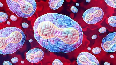 Reino Unido detecta una nueva variante de mpox en un viajero reciente de Asia