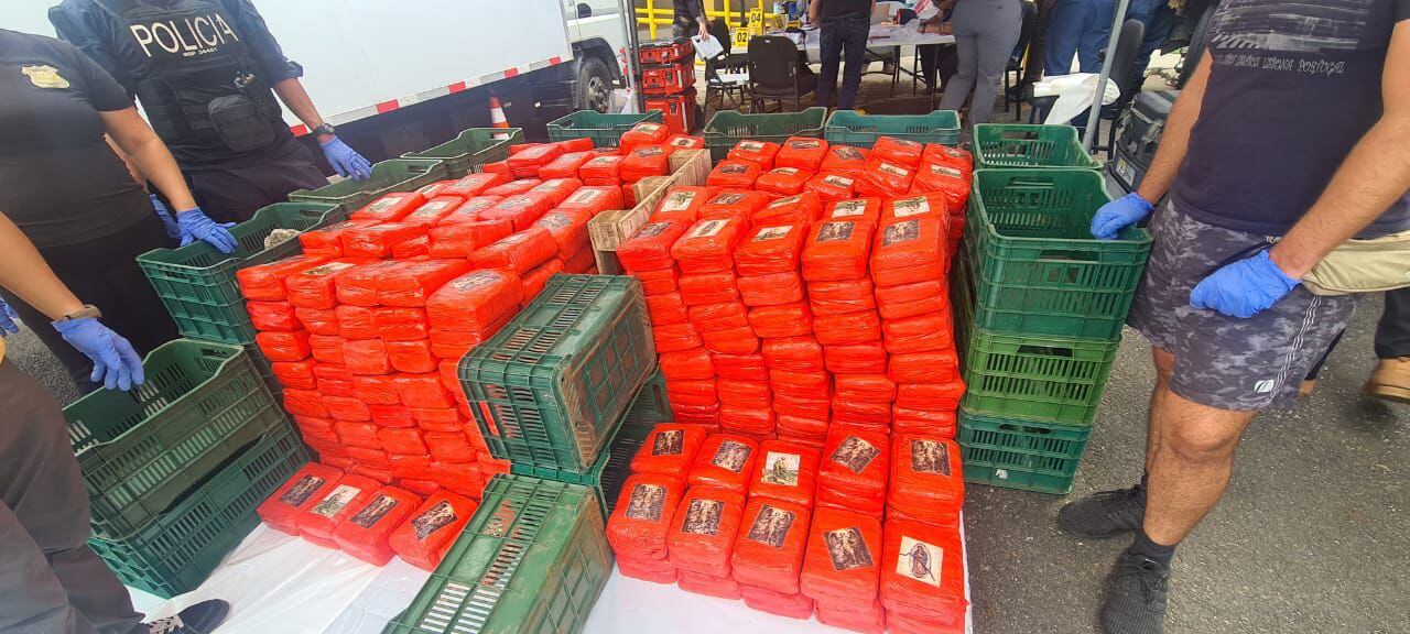 Estas imágenes corresponden a decomisos de droga, entre marihuana y cocaína, realizados durante toda la investigación del cartel del Caribe Sur en últimos años. Fotografía: