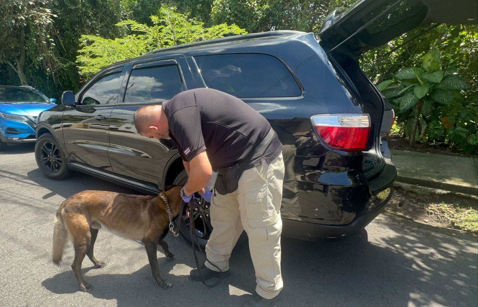 El OIJ decomisó 7 vehículos de alta gama a grupo de estafadores. Foto: OIJ